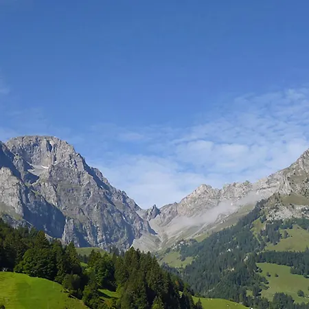 Birkenstrasse 70-2 By Interhome Daire Engelberg