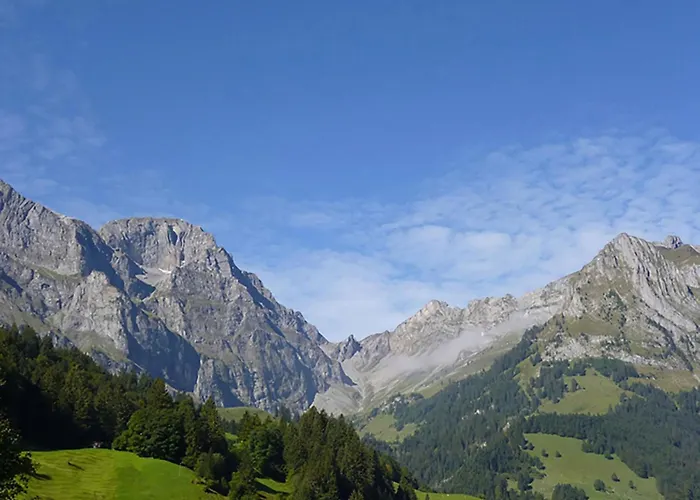 Birkenstrasse 70-2 By Interhome Apartment Engelberg